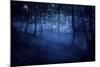 A Dark, Misty Forest, Liselund Slotspark, Denmark-null-Mounted Photographic Print