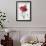 A Dark Red Carnation-Pierre-Joseph Redouté-Framed Giclee Print displayed on a wall