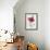 A Dark Red Carnation-Pierre-Joseph Redouté-Framed Giclee Print displayed on a wall