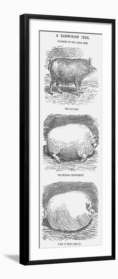 A Darwinian Idea, 1865-TW Woods-Framed Giclee Print