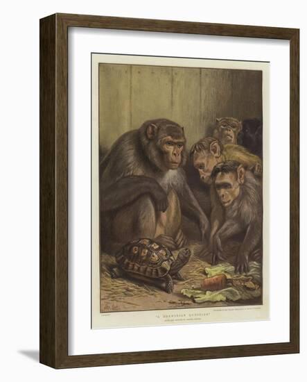 A Darwinian Question-Samuel John Carter-Framed Giclee Print