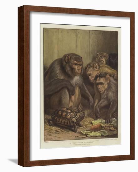 A Darwinian Question-Samuel John Carter-Framed Giclee Print