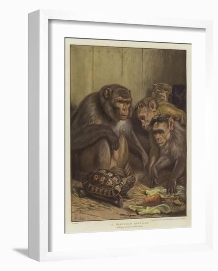 A Darwinian Question-Samuel John Carter-Framed Giclee Print