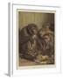 A Darwinian Question-Samuel John Carter-Framed Giclee Print