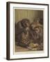 A Darwinian Question-Samuel John Carter-Framed Giclee Print