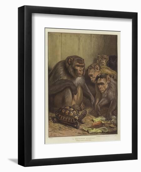 A Darwinian Question-Samuel John Carter-Framed Premium Giclee Print