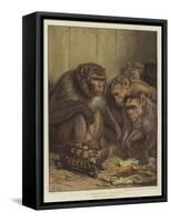 A Darwinian Question-Samuel John Carter-Framed Stretched Canvas