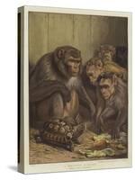 A Darwinian Question-Samuel John Carter-Stretched Canvas