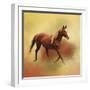 A Dash of Chestnut Mare-Jai Johnson-Framed Giclee Print