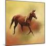 A Dash of Chestnut Mare-Jai Johnson-Mounted Giclee Print