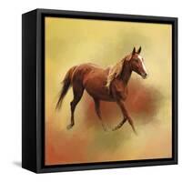A Dash of Chestnut Mare-Jai Johnson-Framed Stretched Canvas