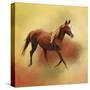 A Dash of Chestnut Mare-Jai Johnson-Stretched Canvas