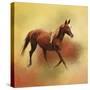 A Dash of Chestnut Mare-Jai Johnson-Stretched Canvas