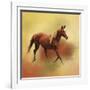 A Dash of Chestnut Mare-Jai Johnson-Framed Giclee Print