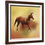 A Dash of Chestnut Mare-Jai Johnson-Framed Giclee Print