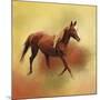 A Dash of Chestnut Mare-Jai Johnson-Mounted Giclee Print