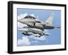 A Dassault Rafale of the French Air Force Flys Alongside a U.S. Air Force F-16C Fighting Falcon-Stocktrek Images-Framed Photographic Print