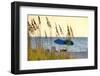 A Day at the Beach Is Seen Through the Sea Oats, West Coast, Florida-Sheila Haddad-Framed Photographic Print