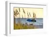 A Day at the Beach Is Seen Through the Sea Oats, West Coast, Florida-Sheila Haddad-Framed Photographic Print