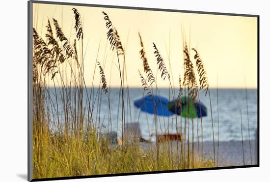 A Day at the Beach Is Seen Through the Sea Oats, West Coast, Florida-Sheila Haddad-Mounted Photographic Print