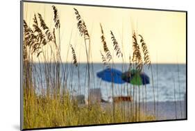 A Day at the Beach Is Seen Through the Sea Oats, West Coast, Florida-Sheila Haddad-Mounted Photographic Print