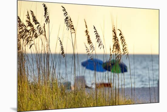 A Day at the Beach Is Seen Through the Sea Oats, West Coast, Florida-Sheila Haddad-Mounted Premium Photographic Print