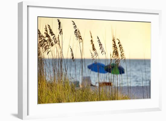 A Day at the Beach Is Seen Through the Sea Oats, West Coast, Florida-Sheila Haddad-Framed Photographic Print