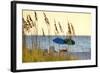 A Day at the Beach Is Seen Through the Sea Oats, West Coast, Florida-Sheila Haddad-Framed Photographic Print