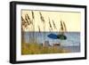 A Day at the Beach Is Seen Through the Sea Oats, West Coast, Florida-Sheila Haddad-Framed Photographic Print