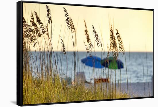 A Day at the Beach Is Seen Through the Sea Oats, West Coast, Florida-Sheila Haddad-Framed Stretched Canvas