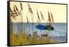 A Day at the Beach Is Seen Through the Sea Oats, West Coast, Florida-Sheila Haddad-Framed Stretched Canvas