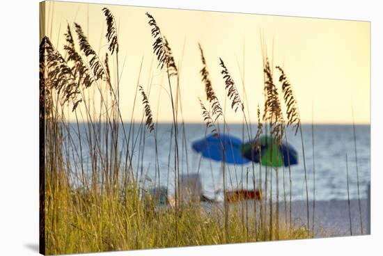 A Day at the Beach Is Seen Through the Sea Oats, West Coast, Florida-Sheila Haddad-Stretched Canvas