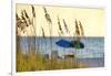 A Day at the Beach Is Seen Through the Sea Oats, West Coast, Florida-Sheila Haddad-Framed Photographic Print