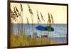 A Day at the Beach Is Seen Through the Sea Oats, West Coast, Florida-Sheila Haddad-Framed Photographic Print