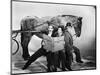 A Day at the Races, 1937-null-Mounted Photographic Print