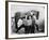 A Day at the Races, 1937-null-Framed Photographic Print