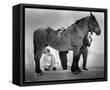 Framed Canvas