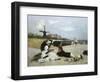 A Day by the Sea-Alexander M. Rossi-Framed Giclee Print