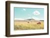 A Day in the Fields-Annie Bailey Art-Framed Photographic Print