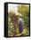 A Day in the Garden-Marian Chase-Framed Stretched Canvas