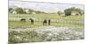 A Day in the Paddock-Mark Chandon-Mounted Giclee Print