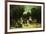 A Day in the Park-Auguste Molins-Framed Premium Giclee Print