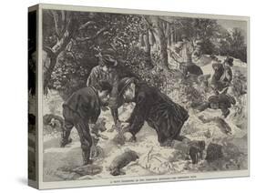 A Day's Ferreting in the Christmas Holidays-George Bouverie Goddard-Stretched Canvas