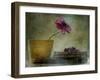 A Day To Stay At Home-Delphine Devos-Framed Giclee Print