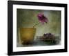 A Day To Stay At Home-Delphine Devos-Framed Giclee Print