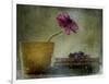 A Day To Stay At Home-Delphine Devos-Framed Giclee Print