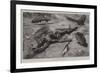 A Dead Angoni Warrior-Harry Hamilton Johnston-Framed Giclee Print