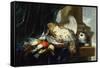 A Dead Partridge and other Birds a Stone Ledge with a Cat-Jan Fyt-Framed Stretched Canvas