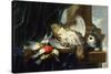 A Dead Partridge and other Birds a Stone Ledge with a Cat-Jan Fyt-Stretched Canvas