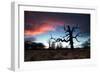 A Dead Tree in the Sunset in Richmond Park, London-Alex Saberi-Framed Photographic Print